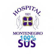 (c) Hospitalmontenegro.com.br